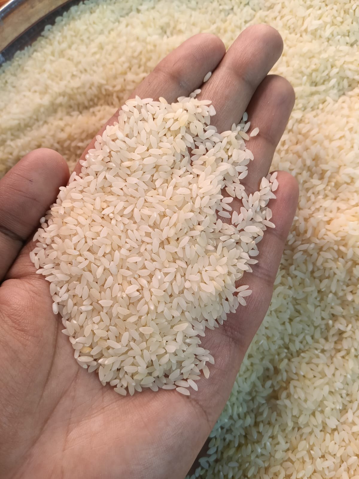Organic Gobindobhog Rice